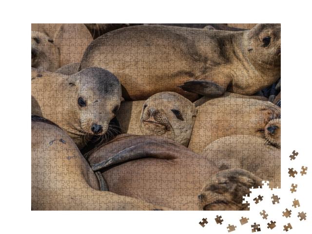 Puzzle 1000 Teile „Eine dichtgedrängte Herde schlafender Robben“