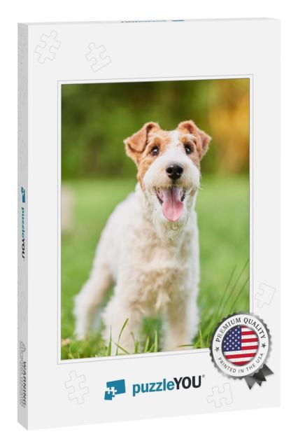 Vertical Shot of a Cute Happy & Healthy Fox Terrier Dog S... Jigsaw Puzzle