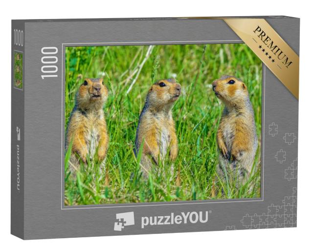 Puzzel 1000 stukjes „Eekhoorn familie“