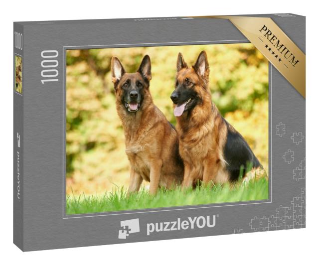 Puzzle 1000 Teile „Zwei Deutsche Schäferhunde sitzen auf grünem Gras im Herbst“