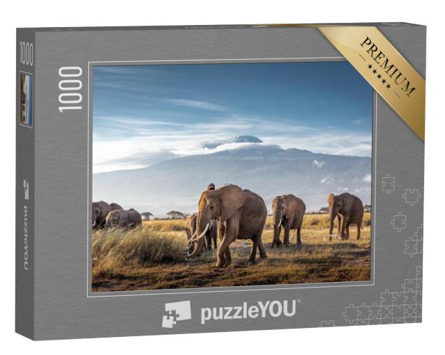 Puzzel 1000 stukjes „Kudde grote Afrikaanse olifanten loopt voor de Kilimanjaro in Kenia“