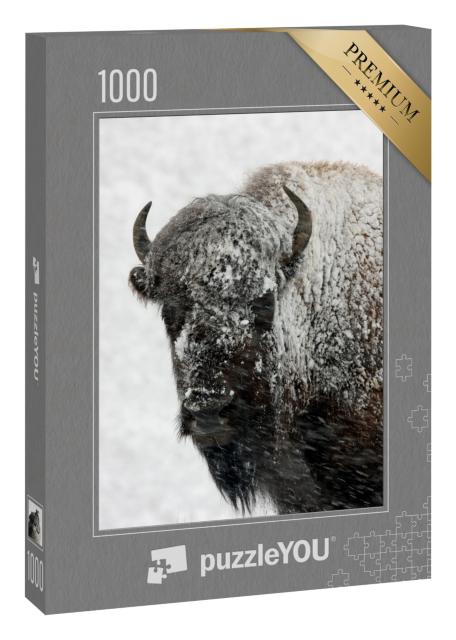 Puzzle „Bison im Schnee, Yellowstone-Nationalpark“