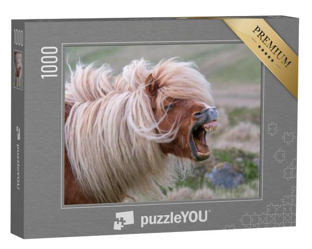 Puzzel 1000 stukjes „Hinnikende Shetland pony met wilde manen“