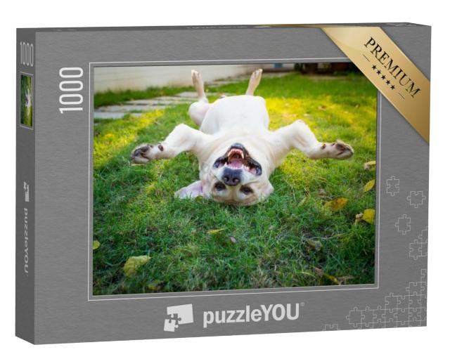 Puzzel 1000 stukjes „Labrador Retriever ondersteboven op de rug“