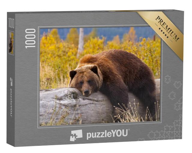 Puzzel 1000 stukjes „Grizzlybeer, Alaska“