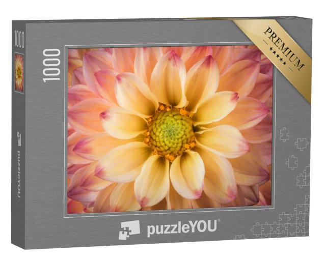 Puzzel 1000 stukjes „Een close-up van een dahlia“