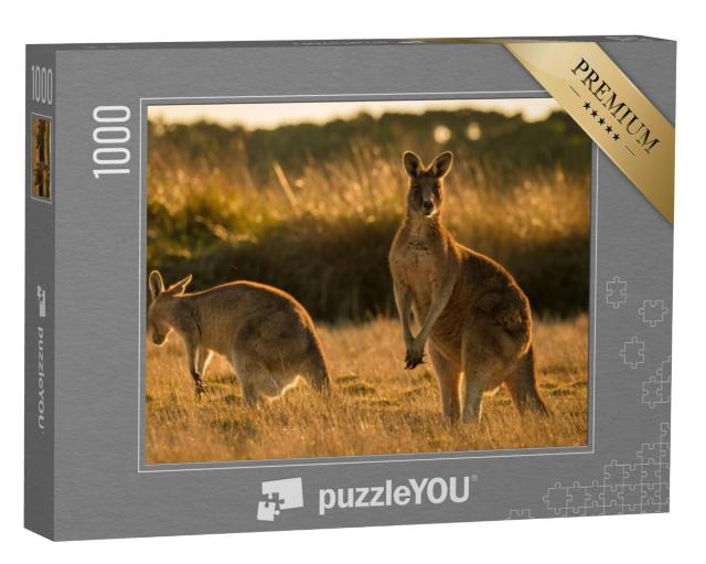 Puzzel 1000 stukjes „Kangoeroe bij zonsondergang, open veld“