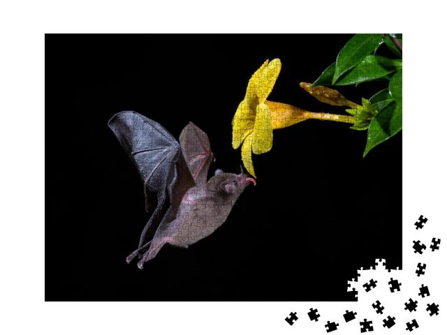 Puzzle 1000 Teile „Pallas-Langschwanzfledermaus beim Genuss von Blütennektar“