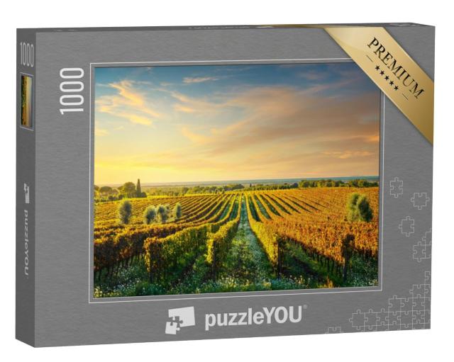 Puzzel 1000 stukjes „Bolgheri wijngaard bij zonsondergang, Maremma, Toscane“