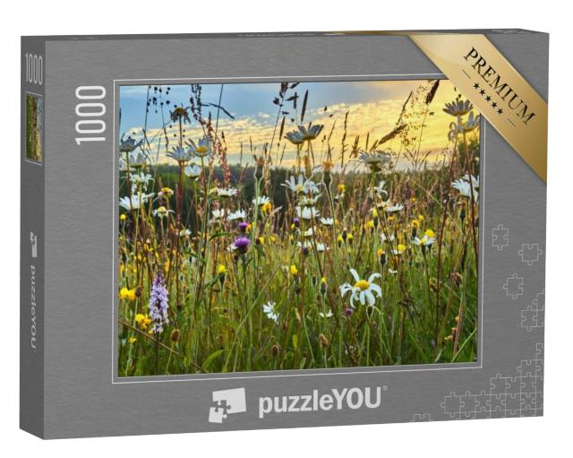 Puzzel 1000 stukjes „Een hooiland met wilde bloemen in de zomer“