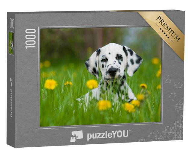 Puzzel 1000 stukjes „Dalmatiër“