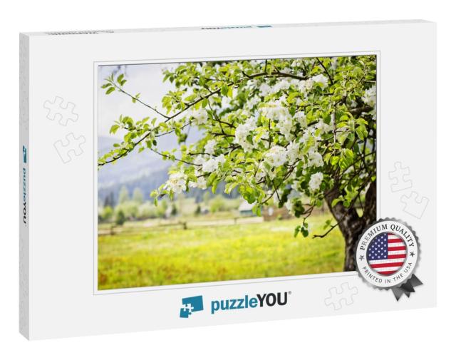Apple Tree Blossoms Over Nature Background/ Spring Flower... Jigsaw Puzzle