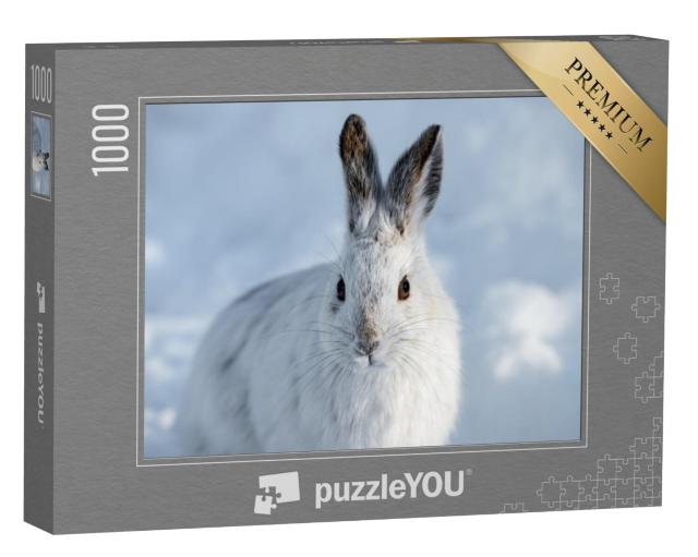 Puzzel 1000 stukjes „Witte sneeuwschoenhaas met bruine oren“