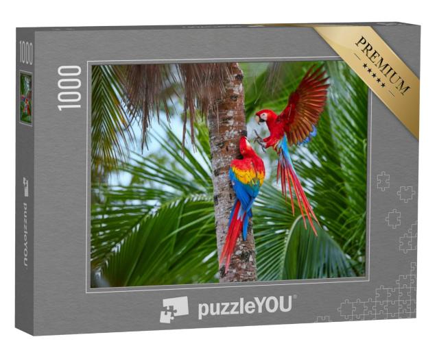 Puzzel 1000 stukjes „Amazonepapegaaien op een palmboom“