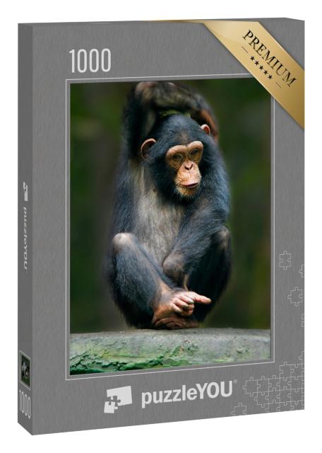 Puzzle „Schimpanse als Menschenaffe aus Afrika“