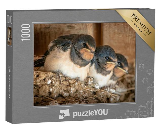 Puzzel 1000 stukjes „Schattige zwaluwkuikens in hun nest“