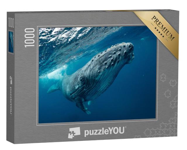 Puzzel 1000 stukjes „Een zwemmende bultrug in zee“