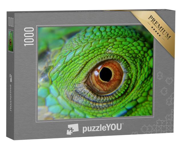 Puzzel 1000 stukjes „Kameleons, hagedissen die van kleur veranderen“