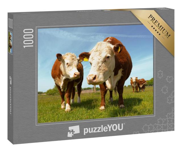 Puzzle 1000 Teile „Hereford-Kühe auf dem Land“