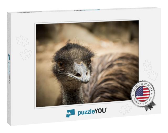 Emu Sitting Dusty... Jigsaw Puzzle