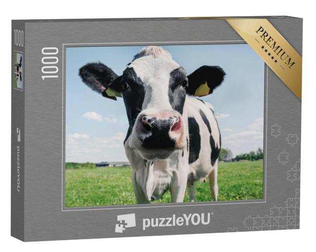 Puzzel 1000 stukjes „Close-up van een zwart-witte koe“