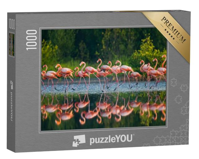 Puzzel 1000 stukjes „Caribische flamingo's in het water“