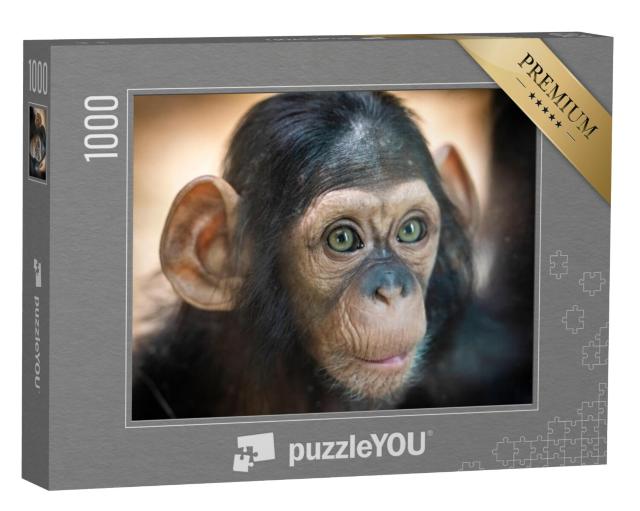 Puzzel 1000 stukjes „Portret van een baby chimpansee in Pilsen, Tsjechië“