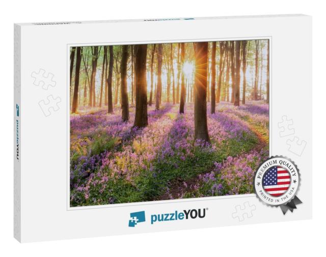 Beautiful Woodland Bluebell Forest in Spring. Purple & Pi... Jigsaw Puzzle