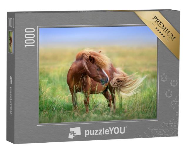 Puzzel 1000 stukjes „Pony op de wei in de lentewind“