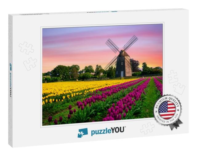 Windmill in Beautiful Color Tulips Field... Jigsaw Puzzle