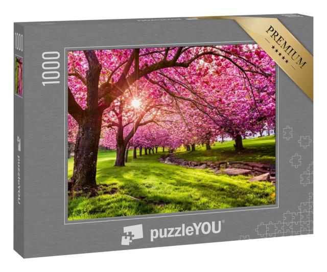 Puzzle „Kirschblüten im Hurd Park, Dover, New Jersey“