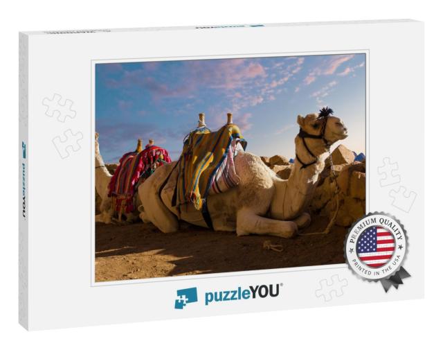 Dromedar Camel on the Background of the Mountain of St. M... Jigsaw Puzzle
