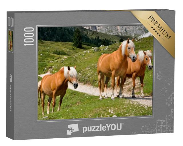 Puzzel 1000 stukjes „Drie Haflinger paarden op een bergweide in Zuid-Tirol, Italië“