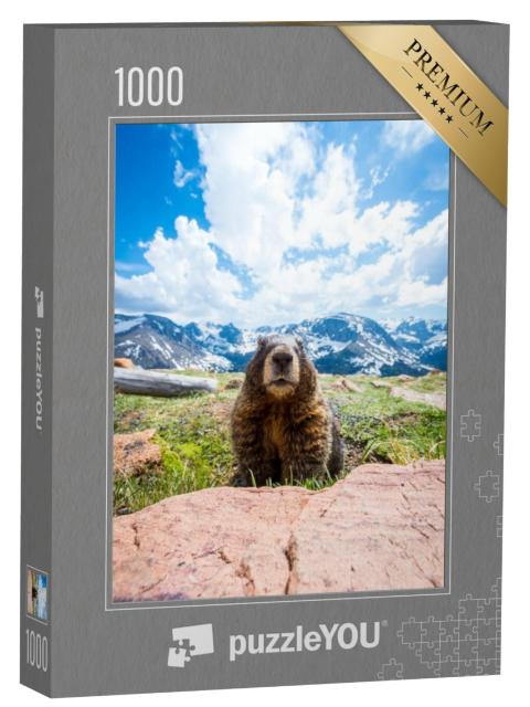 Puzzel 1000 stukjes „Een nieuwsgierige marmot in Rocky Mountain National Park, Californië“