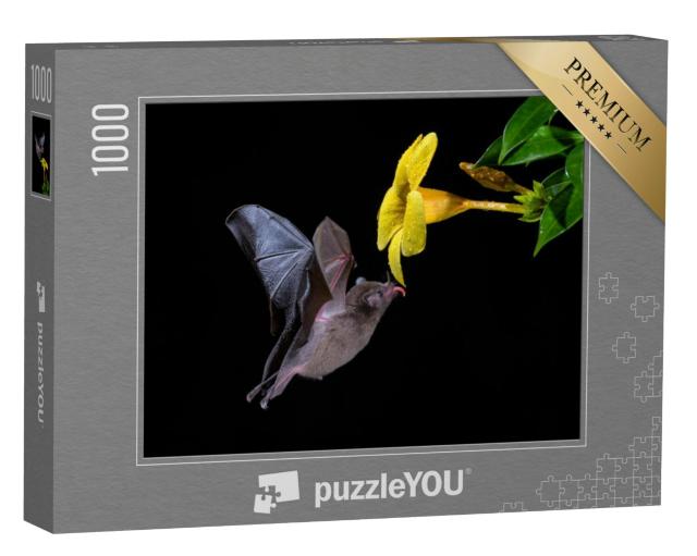 Puzzel 1000 stukjes „Pallas' vleermuis geniet van bloemennectar“