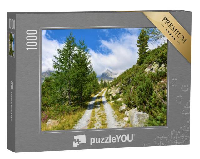 Puzzel 1000 stukjes „Grindweg“