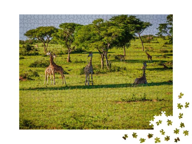 Puzzle 1000 Teile „Natur und Tierwelt im Murchison Falls Park, Uganda, Afrika“
