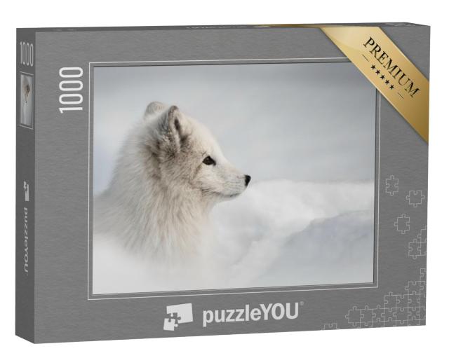 Puzzel 1000 stukjes „Vrouwelijke poolvos waagt zich uit haar sneeuwgrot“