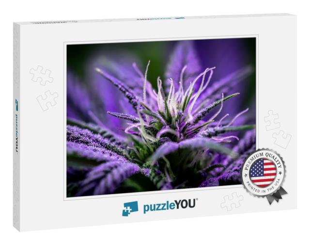 Marijuana Macro Background... Jigsaw Puzzle