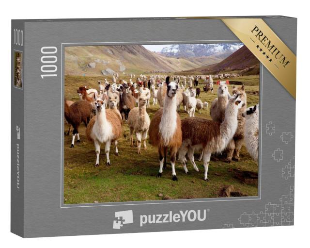 Puzzel 1000 stukjes „Lama's en alpaca's in Peru“