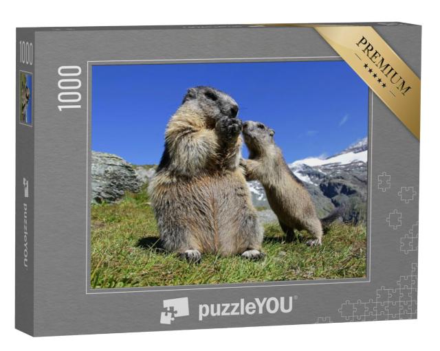 Puzzel 1000 stukjes „Moeder marmot met haar nieuwsgierige jongen, Oostenrijk“