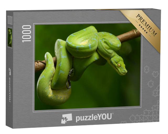 Puzzel 1000 stukjes „Boompython in felgroen“