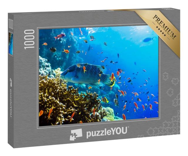 Puzzle 1000 Teile „Verschiedene Unterwasserfische, Blick unter Wasser, Riff“