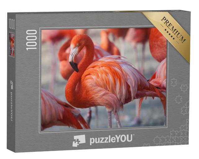 Puzzel 1000 stukjes „Roze flamingo's“