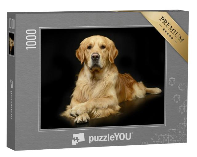 Puzzel 1000 stukjes „Golden Retriever in perfecte fotopose“