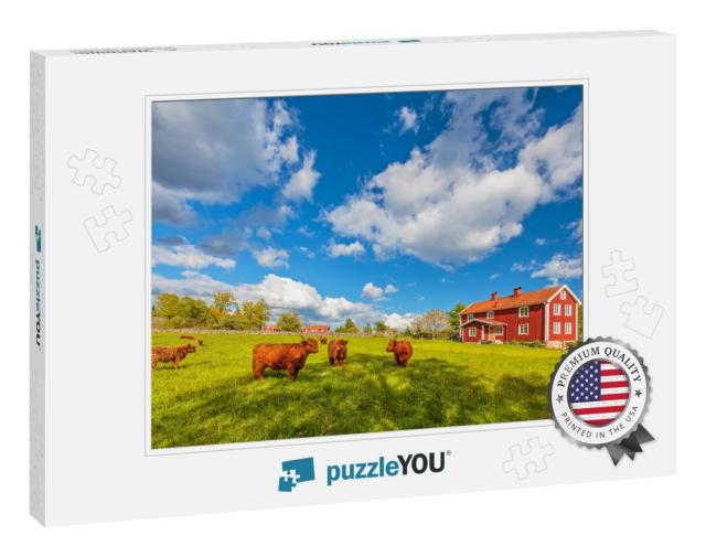 Cattle with Highland Cows in Front of Typical Old Wooden... Jigsaw Puzzle