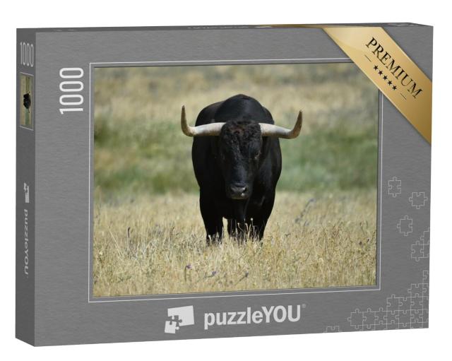 Puzzel 1000 stukjes „Een zwarte stier met grote horens in het veld“