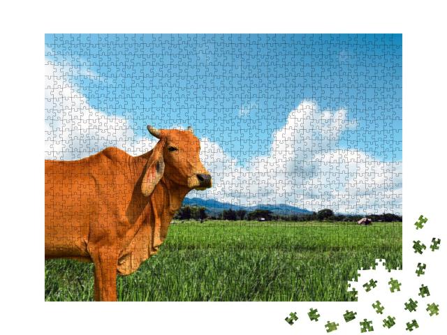 Puzzle 1000 Teile „Kuh auf einer saftig-grünen Weide“