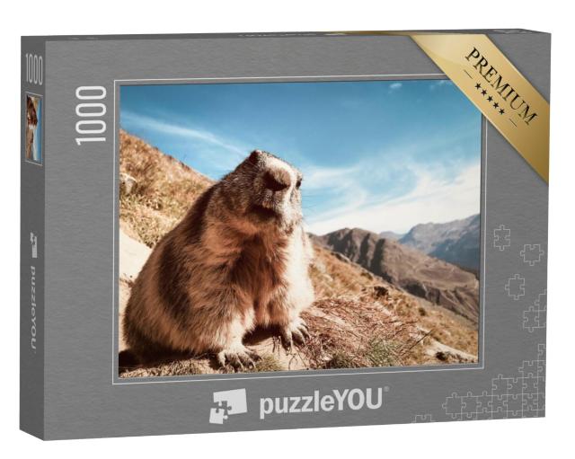 Puzzel 1000 stukjes „Marmot met een vragende blik“