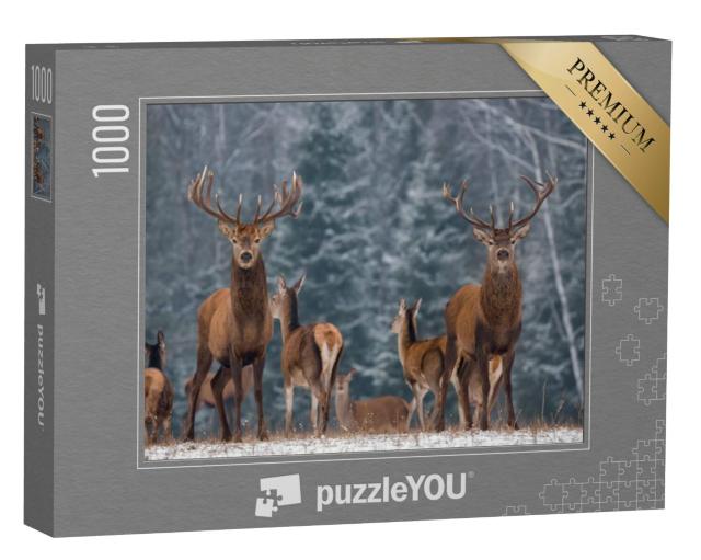 Puzzel 1000 stukjes „Een kudde herten in het winterse bos“